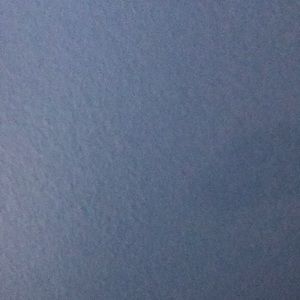 Meet your Posher, Max